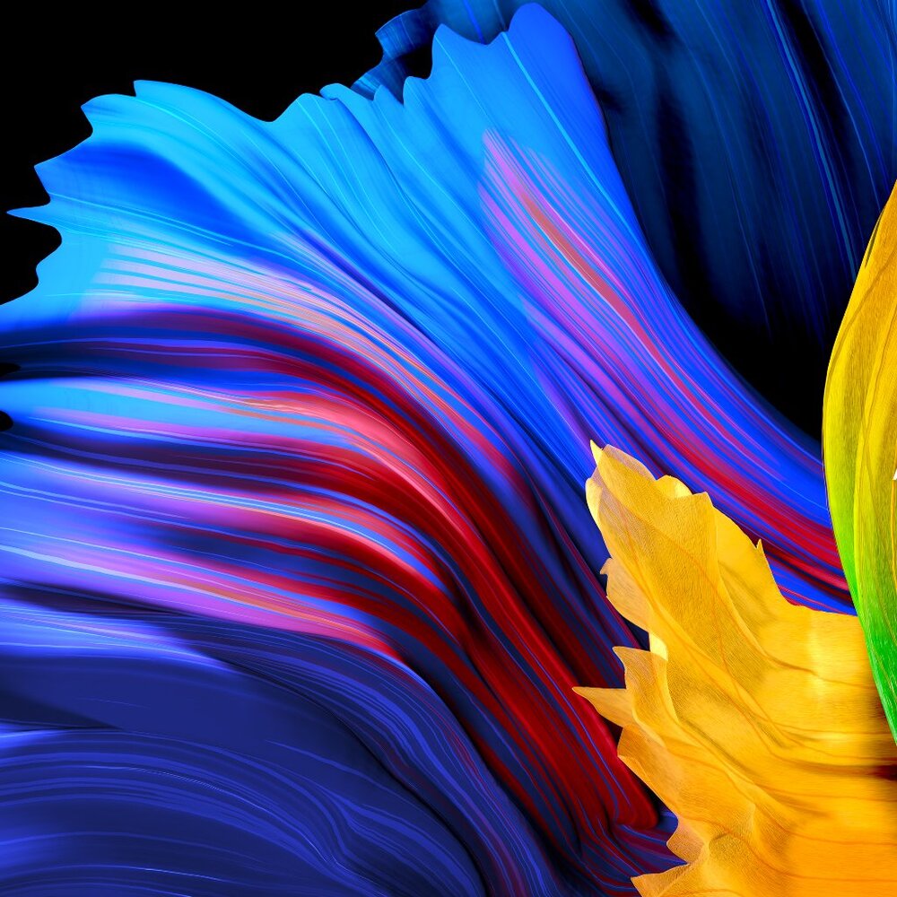 Meet your Posher, Benjamin